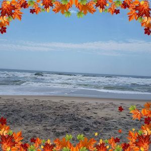 Meet your Posher, Connie